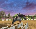 Horse Life 2 en exhibition