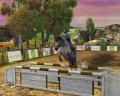 Horse Life 2 en exhibition