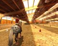 Horse Life 2 en exhibition