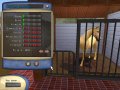 Des images pour Horse Tycoon