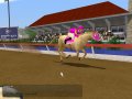 Des images pour Horse Tycoon