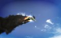 IL-2 Sturmovik : Birds of Prey annonc�