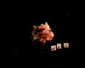 In Memoriam : Le Dernier Rituel