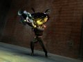 Insecticide : nouvelles images