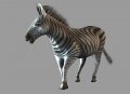 Jambo ! Safari annonc� sur Wii et DS