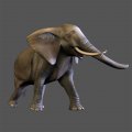 Jambo ! Safari annonc� sur Wii et DS