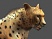 Jambo ! Safari s'illustre sur Wii et DS