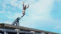 James Bond : Quantum of Solace