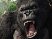 Le second effet King Kong