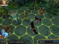 King's Bounty : images et vid�o