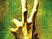 Left 4 Dead 2 mord en images