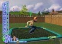 Les Sims 2