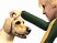 Les Sims 2 : Animaux & Cie