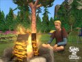 Les Sims 2 : Bon Voyage