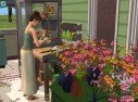 Les Sims 2 : La Bonne Affaire