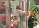 Les Sims 2 : La Bonne Affaire