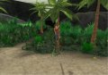 E3 07 > Les Sims 2 r�invente Koh-Lanta