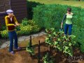 Les Sims 3 : encore des images