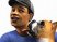 Les Sims : Histoires d’Animaux