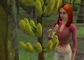 Les Sims : Histoires de Naufrag�s