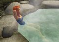 Les Sims : Histoires de Naufrag�s