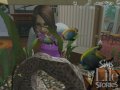 Les Sims font peau neuve sur PC