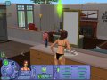 Les Sims : Histoires de Vie
