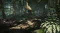 Premi�res images de Lost