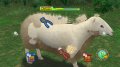 Lost in Blue Wii : dat� et imag�