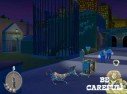 Madagascar : une cargaison de visuels