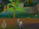 Madagascar : une cargaison de visuels