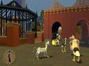 Madagascar : une cargaison de visuels