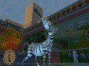 Madagascar : une cargaison de visuels