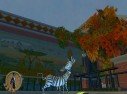 Madagascar : une cargaison de visuels