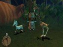 Madagascar : une cargaison de visuels