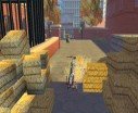Madagascar