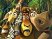Madagascar sur DS