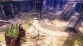 GC 09 > Majin : the Fallen Realm annonc�