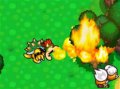 Des images pour Mario & Luigi RPG 3