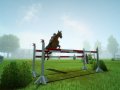 Mon Cheval et Moi galope en images