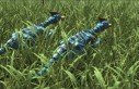 Monster Hunter