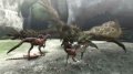 Monster Hunter 3 : plus d'images