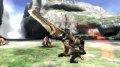Monster Hunter 3 : plus d'images