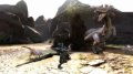 Monster Hunter 3 prend la pose