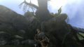 Monster Hunter 3 prend la pose