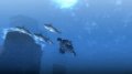 TGS 08 > Monster Hunter 3 : un trailer