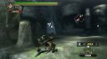 Monster Hunter 3 : des images tremp�es