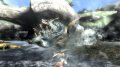 Monster Hunter 3 : des images tremp�es