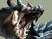 TGS 08 > Monster Hunter 3 : un trailer