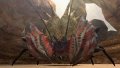 Monster Hunter Freedom 2